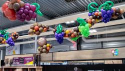Suspensions branche vignes